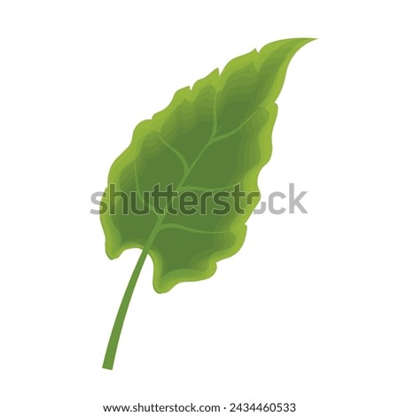Sketch of a tree leaf icon Vector illustration