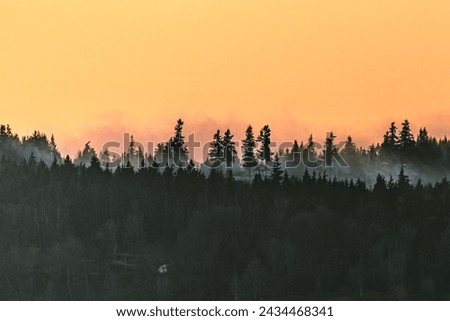 Serene Mukilteo, WA, on Jan 8, 2021. A captivating sunset bathes a distant forest in an ethereal orange-gold glow. Mist delicately veils the trees, creating a mystical silhouette.  Royalty-Free Stock Photo #2434468341