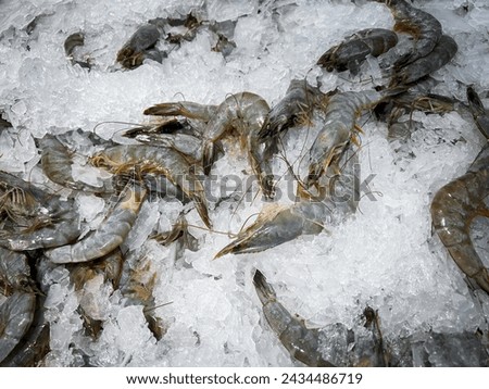A whiteleg shrimp, Pacific white shrimp, King prawn, Penaeus vannamei on ice in the fresh market. Seafood market.