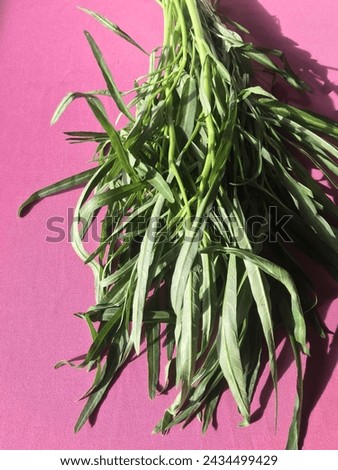 Tropical Water Spinach Vegetable Closeup