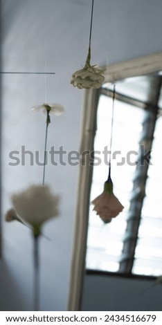 Hanging flower with the reflection