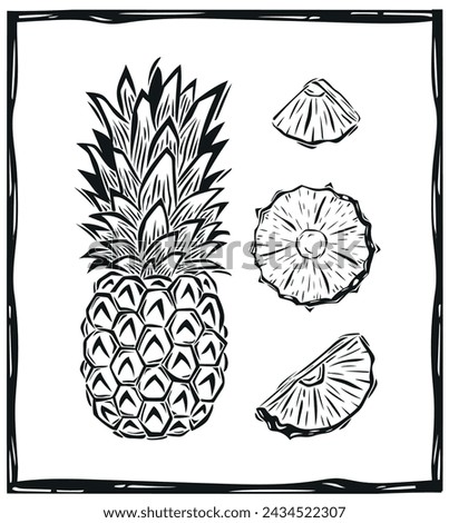Pineapple and cut slices, cocktail and drinks. woodcut style drawing