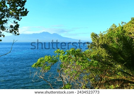 View from the tropical island, calm ocean with the fishing boats in the distance. Blue sea, green vegetation, native boats, travel picture. Adventure trip on the shore.