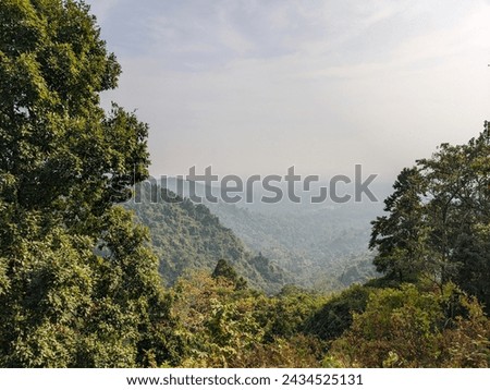 A view of a valley with trees and mountains