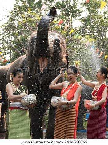 Vertical pretty Thai women in colorful traditional Thai clothing with jasmine garlands holding silverware bowls celebrating Songkran festival with funny elephant in elephant camp Royalty-Free Stock Photo #2434530799