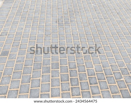Interlock, Small bricks tile of pavement area,  Interlock pathway 