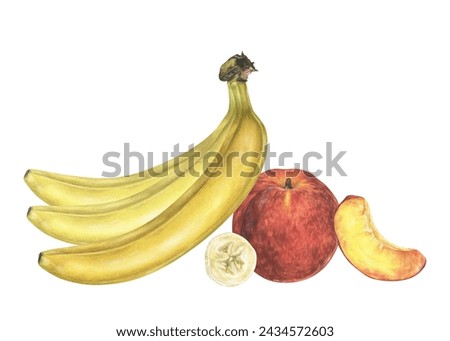 Banana and Peach Watercolor illustration. Hand drawn tropical Fruits on isolated white background. Botanical clip art painting. Plant drawing for nature print and stickers. For food packaging design