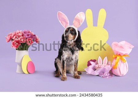 Cute cocker spaniel in bunny ears with Easter cake, gift egg, paper rabbit and beautiful tulips on lilac background Royalty-Free Stock Photo #2434580435