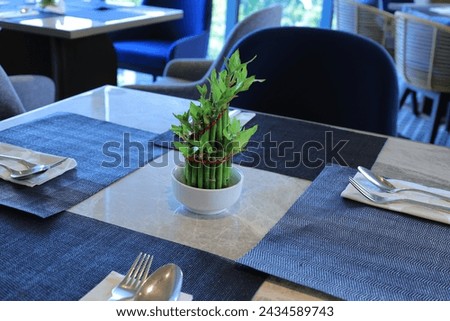 Dracaena sanderiana or lucky bamboo aka bamboo fortune on a hotel dining table. The leaves are fresh green. Royalty-Free Stock Photo #2434589743