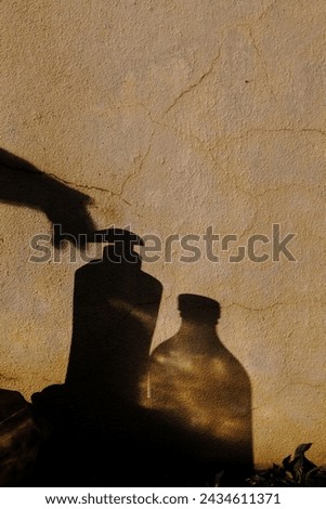 Shadow ( hand , bottle ,leaves )on the old wall .