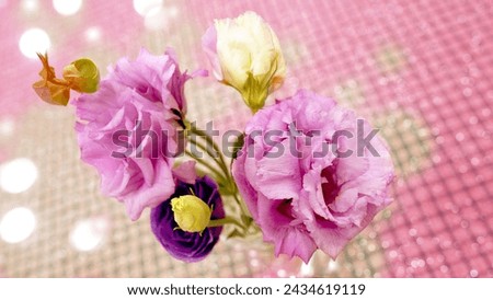 Pink flower, table decoration flower, cafe table decoration flower, beautiful, prairie,  flower image