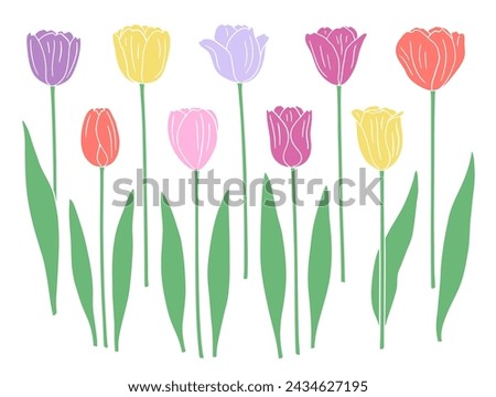 Set of tulip flowers and leaves