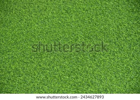 Green grass background texture .top view.
