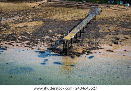 Small pier at low tide on the beach with seaweed in summer