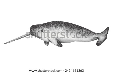 Watercolor illustration. Hand painted narwhal whale with long single tusk, mottled in black, white, grey. Marine mammal. North Arctic animal. Sea and ocean underwater life. Isolated cartoon clip art