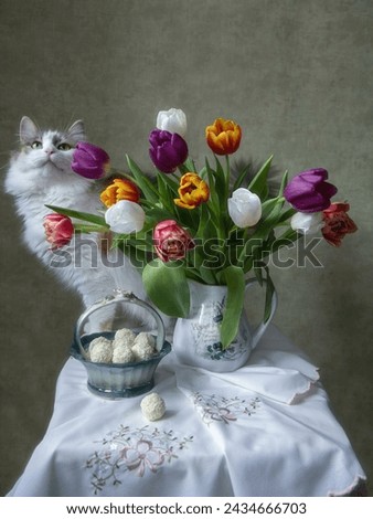 Bouquet of tulips and funny tricolor kitty