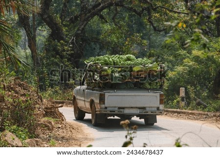 Lots of fresh bananas filling the back of the pickup truck. Driving through a country road in the forest to sell in the fruit market in the city