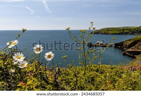 Beautiful seaside landscape on a sunny day. Brixham Devon UK.