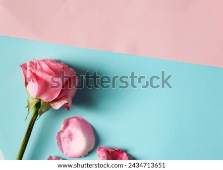 paper with flower decoration on the edge for greeting cards or promotional media. roses on blue and pink paper
