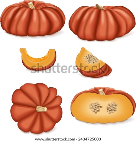 Clip art of Cinderella pumpkin. Rouge Vif D Etampes. Winter squash. Cucurbita maxima. Fruits and vegetables. Isolated vector illustration.