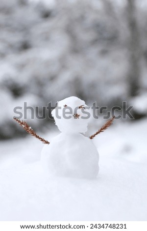 Small snowman in the countryside