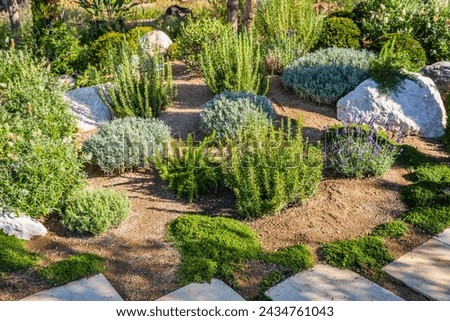 Backyard with fantastic landscaping, patio, drought resistant plants Royalty-Free Stock Photo #2434761043