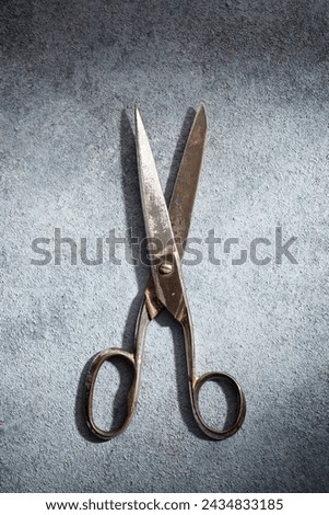 Close up of a disused metallic shears on a work bench. Royalty-Free Stock Photo #2434833185