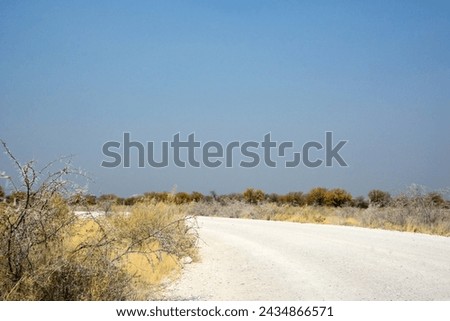 A wide dirt road in the desert in perspective under a dark sky. Tourism and travel