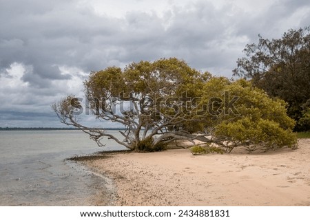 Inskip Peninsula scenery, Queensland, Australia