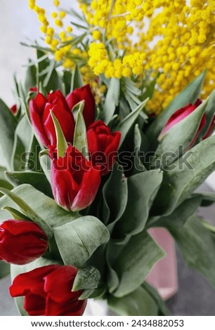 tulips with mimosa. Spring bouquet with mimosa flowers and red tulips - spring concept, spring natural background. Close-up