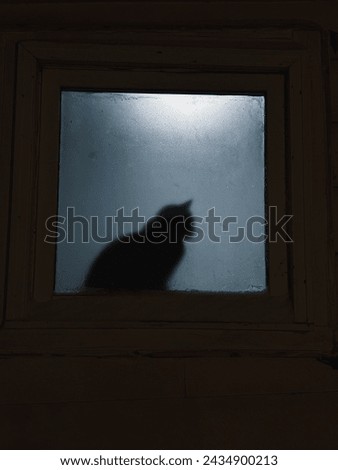 The photo has been edited to show the reflection of a cat in a window.