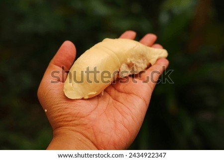 Fresh durian in hand, Durian is a kind of durian from Thailand