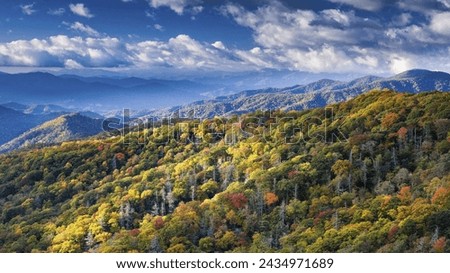 Beautiful forest natural view in the world.  Royalty-Free Stock Photo #2434971689