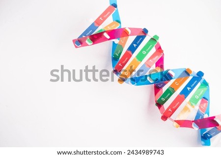 DNA or Deoxyribonucleic acid is a double helix chains structure formed by base pairs attached to a sugar phosphate backbone. Royalty-Free Stock Photo #2434989743