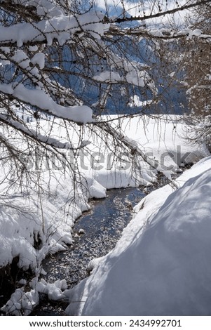 Deep winter stream in the snow-covered stream bed on a winter hike in Engadine, Switzerland. Snow-covered branches tower over the stream Royalty-Free Stock Photo #2434992701