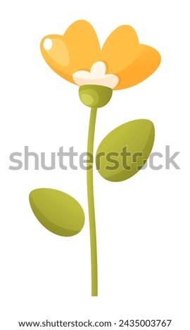 One beautiful yellow flower with petals on a stem with green leaves on a white background. Vector botanical illustration. Clip art of flower for design of posters, cards, logo, label, badges.