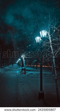 This is a winter night photo