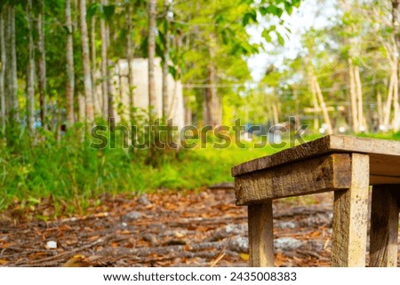 wooden chairs in the middle of a tropical forest and a collection of dry leaves around it