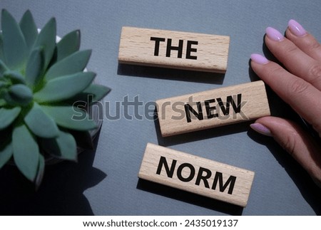 The new norm symbol. Concept words The new norm on wooden blocks. Beautiful grey background with succulent plant. Businessman hand. Business and The new norm concept. Copy space. Royalty-Free Stock Photo #2435019137