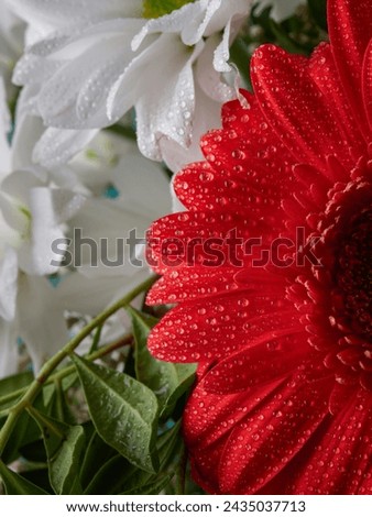 Beautiful colorful mixed flower bouquet still life      