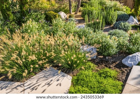 Backyard with fantastic landscaping, patio, drought resistant plants Royalty-Free Stock Photo #2435053369