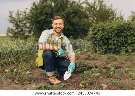 Happy male gardener working on strawberry garden Royalty-Free Stock Photo #2435074743