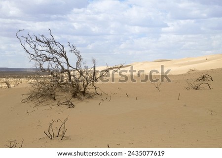 Tuyesu dunes landscape, Senek, Mangystau region, Kazakhstan. Desert landscape Royalty-Free Stock Photo #2435077619