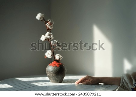 cotton flowers in a vase on the wooden white table in the minimal kitchen. beautiful sunlight, perfect picture vibe, minimal lifestyle. black ceramic vase High quality photo