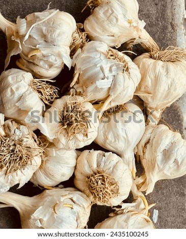 Fresh garlic image lovely image of healthy vegetables 