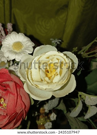 Beautiful Flower Roses and Jasmine
