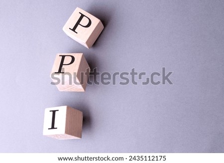 Word PPI on a wooden block on the grey background