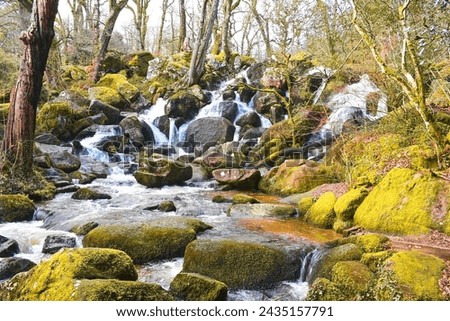 The spectacular scene at Becky Falls East Dartmoor.