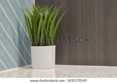 Still life artificial plant in a corner alcove of three different contrasting materials of tiled wall, wooden cabinet and marble countertop. Royalty-Free Stock Photo #2435170149