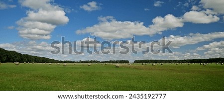Mown marsh meadow with many bales and sheep clouds in the sky panoramic view. Summer and spring wallpaper about nature.
